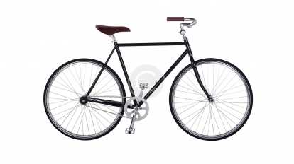 Bike Rental 1 Icon
